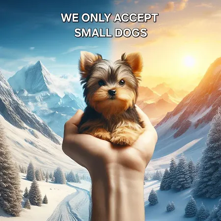 Giewont View Z Widokiem Seven & Sauna - Grunwaldzka Krupowki Centrum By Rentilopl * ザコパネ