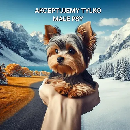 Giewont View Z Widokiem Seven & Sauna - Grunwaldzka Krupowki Centrum By Rentilopl アパート ザコパネ